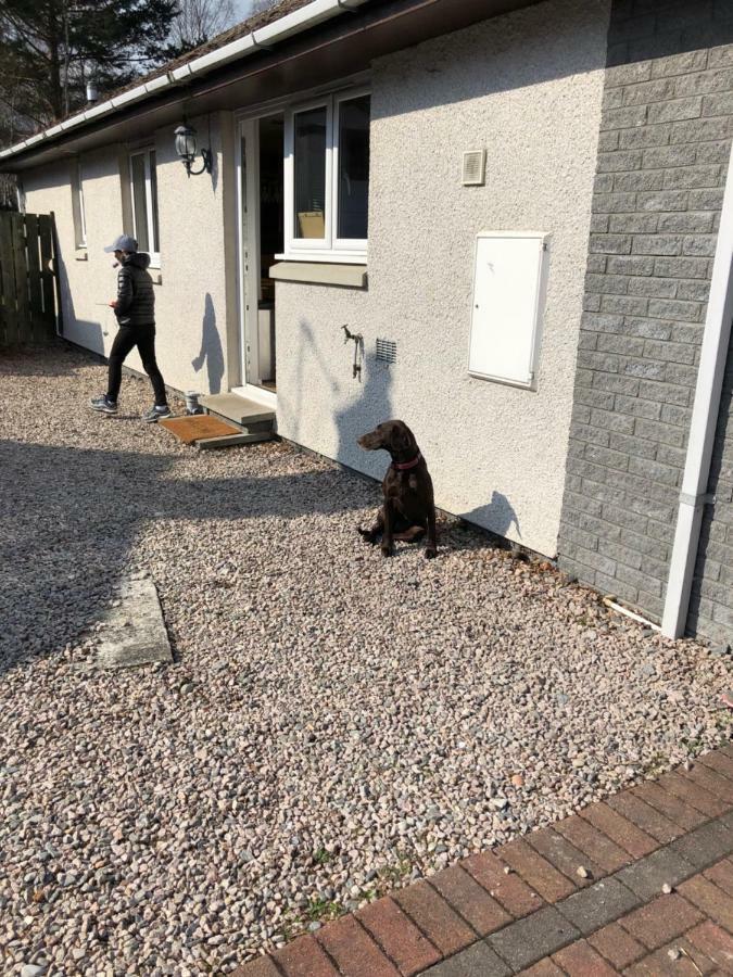 Linmore Aviemore Esterno foto