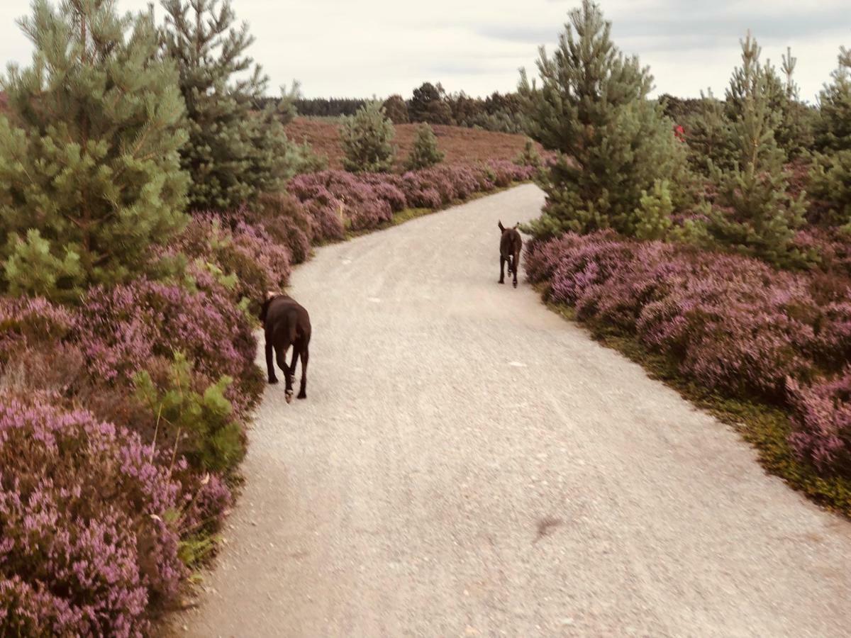 Linmore Aviemore Esterno foto