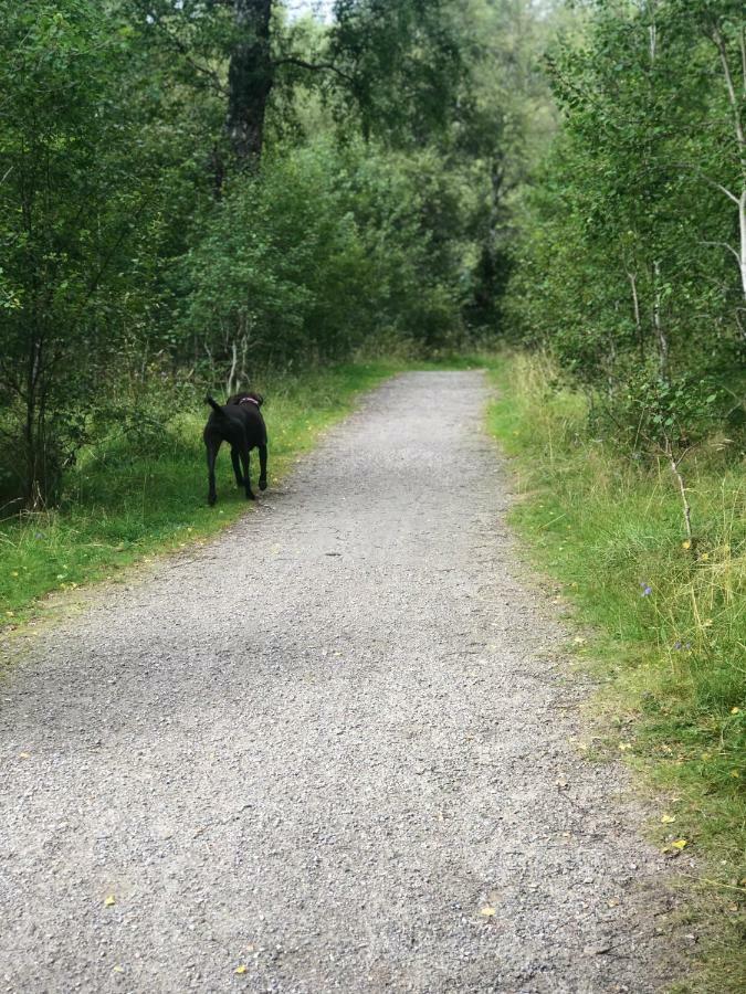 Linmore Aviemore Esterno foto